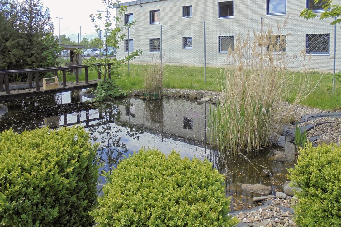 Bild zeigt den Teich im Garten des offenen Vollzug.